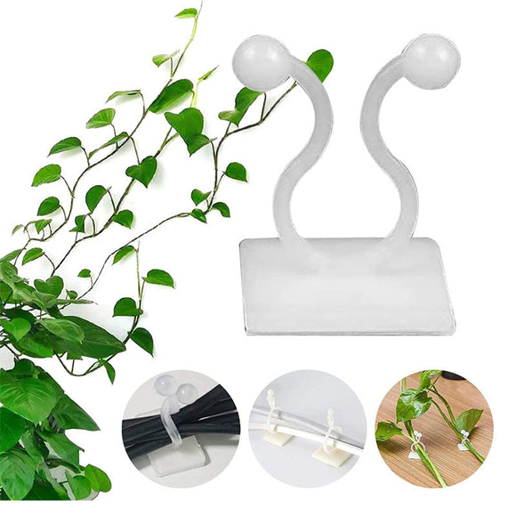 10 Pcs Invisible Wall Vines Fixture Wall Sticky Hooks