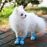 4pcs Pet Dog Rain Waterproof Silicone Rainshoes Shoes Boots