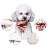 Breathable Soft Dog Cat Striped Bowite Harness and Leash