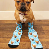 Customized Pets DIY Socks