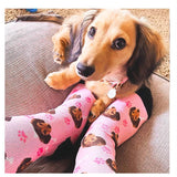 Customized Pets DIY Socks