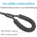 360 Swivel Dual Double Dog Leash with Tangle Free Shock Absorbing Bungee
