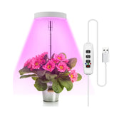 Halo LED Plant Light for Indoor Gardening Height Adjustable Timer & Dimmable
