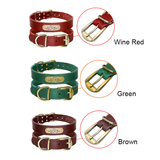 Genuine Leather Personalized ID Dog Collars Free Engrave Nameplate
