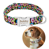 Personalized Nylon Print Dog Cat Puppy Tag Collar Engrave Nameplate ID