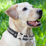 Reflective Personalized Nylon Dog Collar with Engrave Nameplate ID