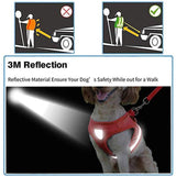 Breathable Mesh Reflective Walking Vest Dog Lead Leash & Harness