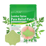 Pain Relief Patches: Herbal Analgesic Plaster for Knee, Neck, and Lumbar Pain Relief