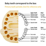 Baby Milk Teeth Storage Box Organizer